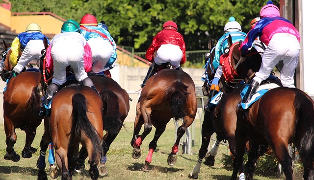 新賽季首戰
